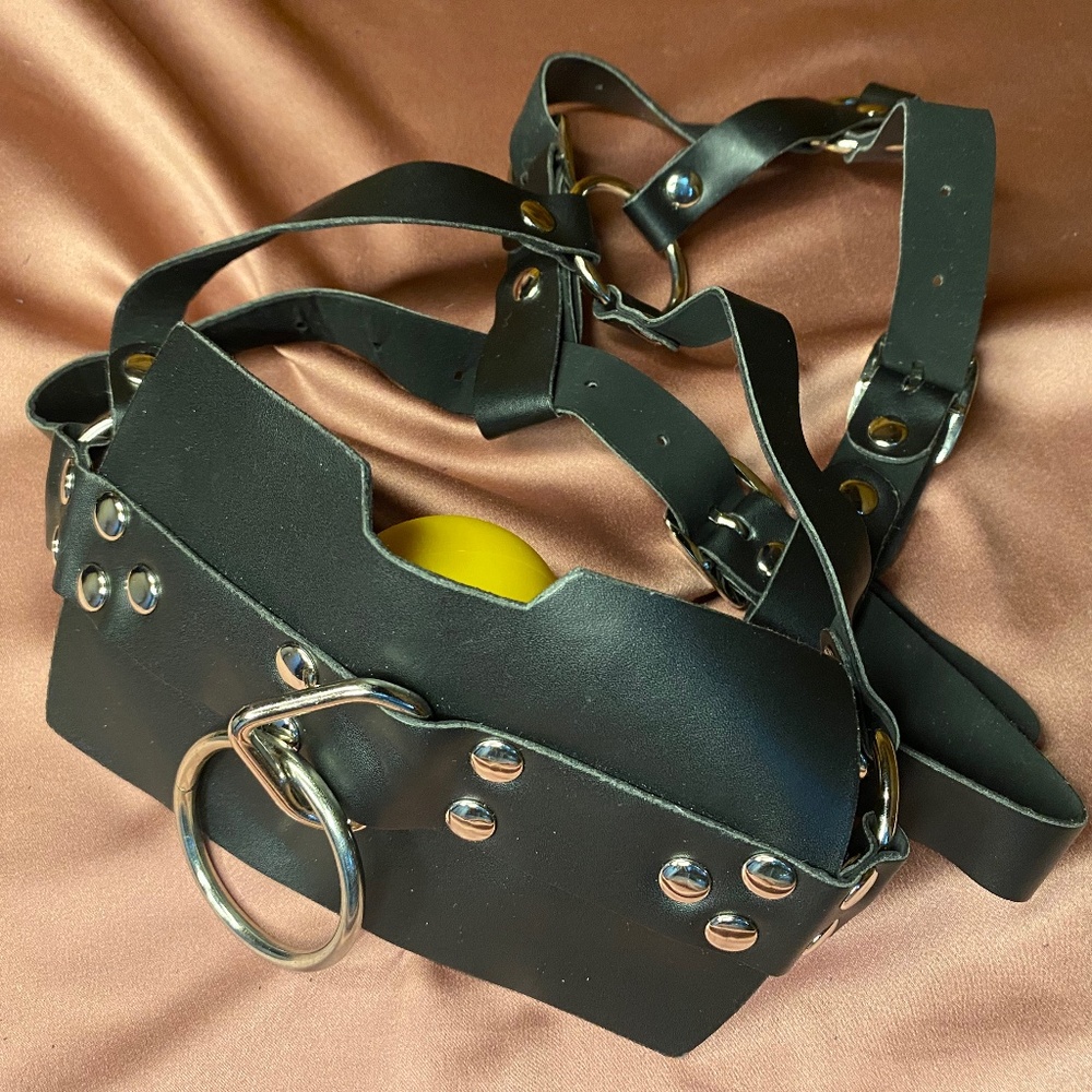 Full head restraint with ball gag- sanitized
